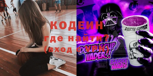 дурь Алексин